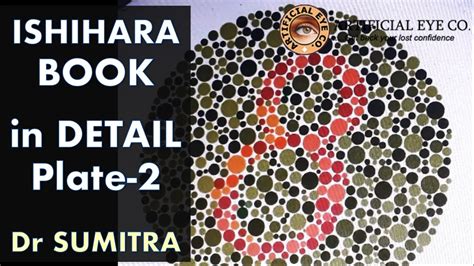 Ishihara Test Book Plate 2 In Detail Dr Sumitra Color Blindness
