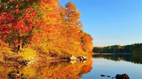 2020 Fall Foliage Map Mental Floss