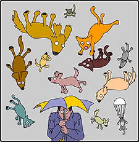 Rain Cats And Dogs Clipart 20 Free Cliparts Download Images On