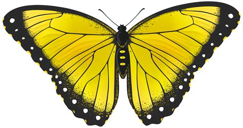 Free Yellow Butterfly Cliparts Download Free Yellow Butterfly Cliparts