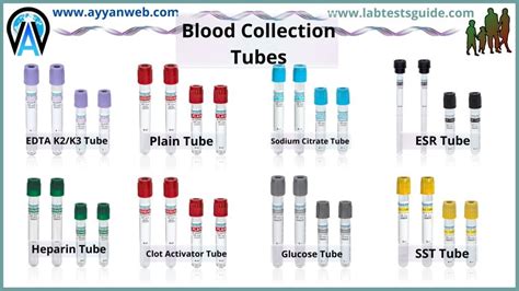 Blood Collection Tubes Types Usage And More Lab Tests Guide