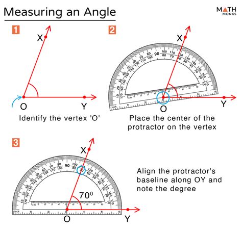 How To Use A Protractor To Measure Draw Angles Youtub