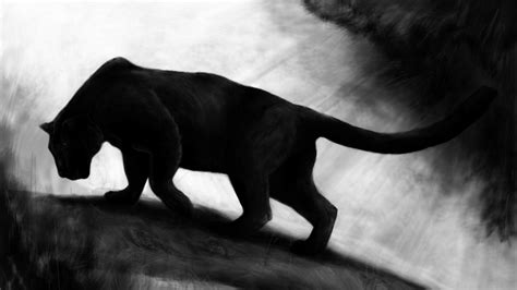 Black Tiger Wallpapers Wallpaper Cave