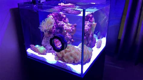 Sca 50 Gal Reef Tank Unboxing And Review Youtube