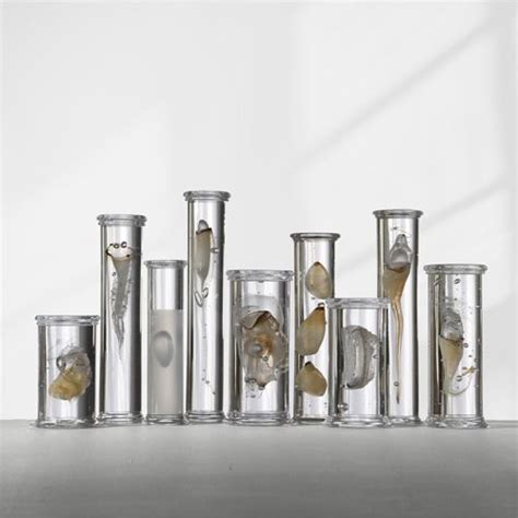 Steffen Dam Glass Art Glass Art Art Articles
