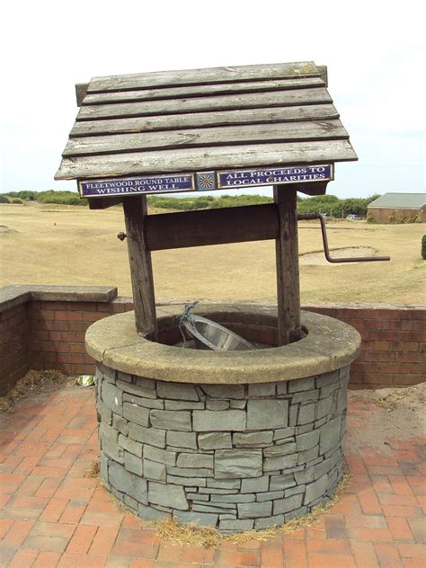 Oh, i might as well. Wishing well - Wikipedia