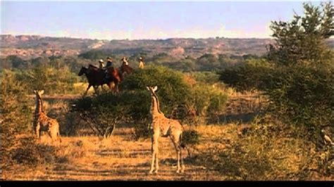 Limpopo Horse Safaris Tuli Game Reserve Botswana Youtube