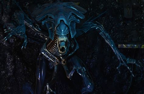 The Xenomorph Queen Is Necas Biggest Aliens Figure Yet Fandomania