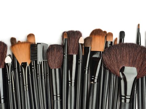 Types Of Makeup Brushes The Complete Guide To Makeup Brush Names And Us
