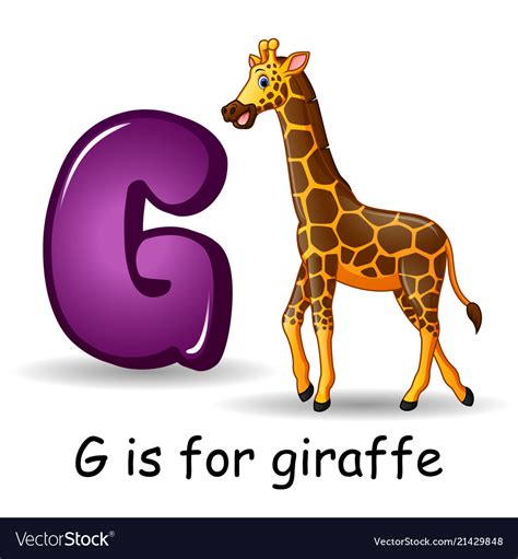 Animals Alphabet G Is For Giraffe Royalty Free Vector Image