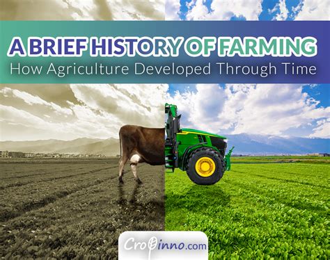 A Brief History Of Farming Cropinno Ai Powered Crop Innovations