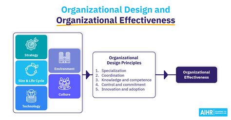 Organizational Design A Complete Guide Aihr