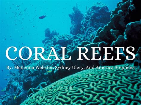 Coral Reefs By Mckenna Webster