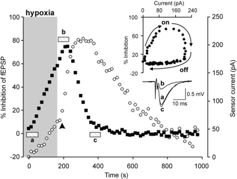 Highresolution Realtime Recording With Microelectrode Biosensors