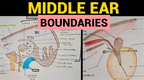 Middle Ear Anatomy 2 Boundaries Youtube