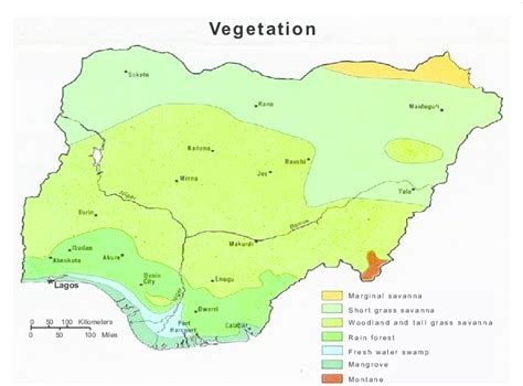 Vegetation Of Nigeria Download Scientific Diagram