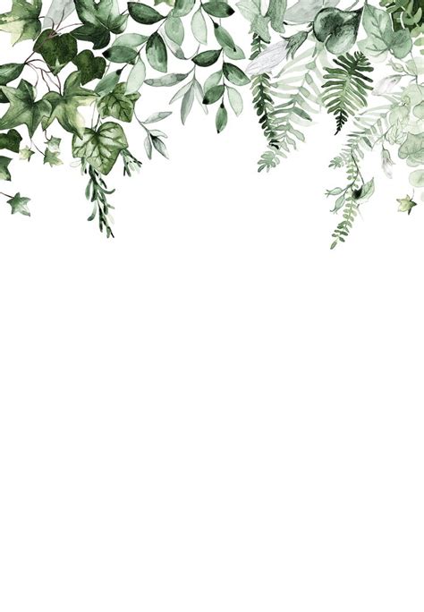 Watercolor Painting Of Green Leaves And Branches On White Background