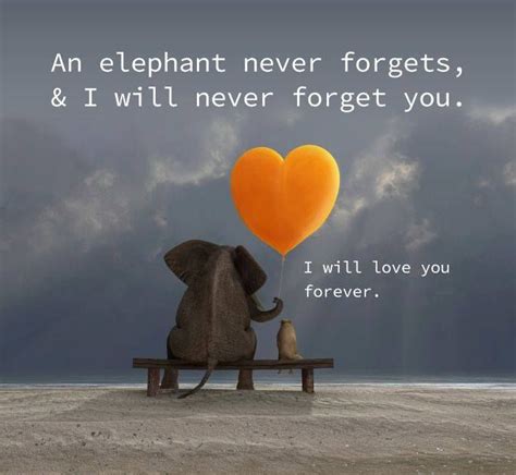 Maybe you would like to learn more about one of these? RIP Jon Taylor I love and miss you always and forever!! | Elephant quotes, Elephants never ...