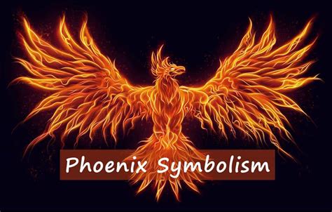 What Is The Meaning Of The Phoenix Symbol A Comprehensive Guide