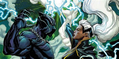 Marvel Cancelled Plans To Bring Black Panther And Storms Son Into Canon