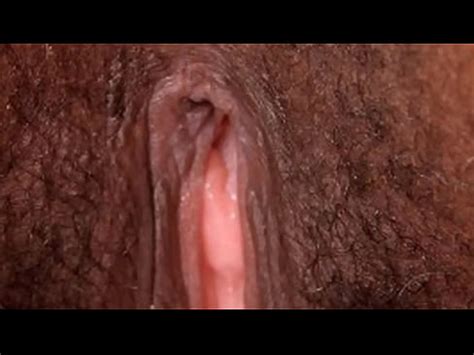 Female Textures Brownies Black Ebonny Hd P Vagina Close Up