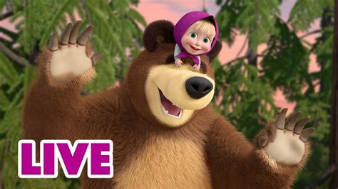 ماشا والدب 👱‍♀️ Live Stream 😊 انت تجعلنى ابتسم 🤩 Masha And The Bear Youtube