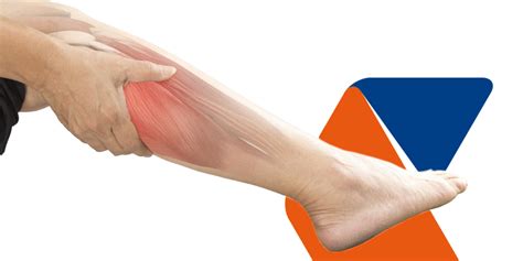 Leg Muscle Pain