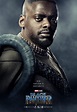 Black Panther: un nuovo poster del film: 461483 - Movieplayer.it