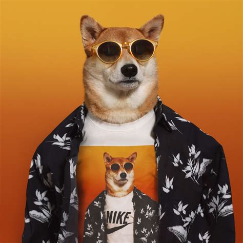 Mensweardog Content Creation With The Most Stylish Dogs In The World
