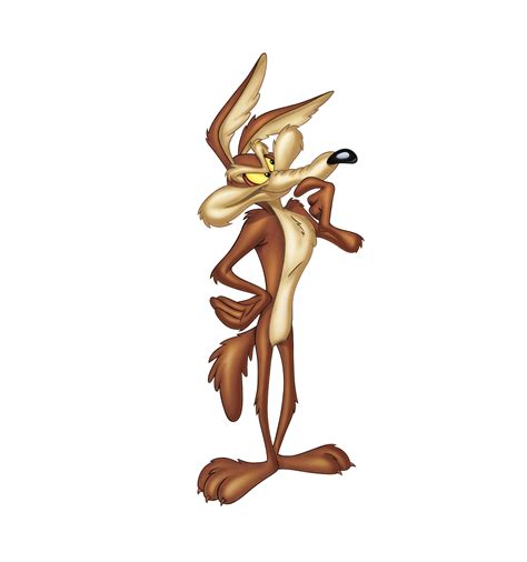 Coyote Dos Desenhos Animados Png Png Play