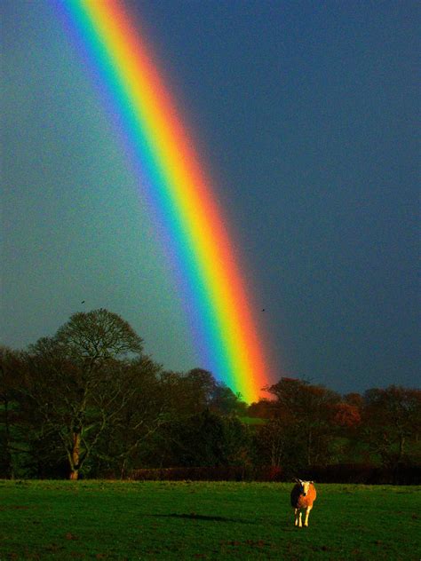 Rainbow Colours Enhanced Rainbow Aesthetic Rainbow Photography