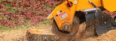 Your Guide To Stump Grinding Costs