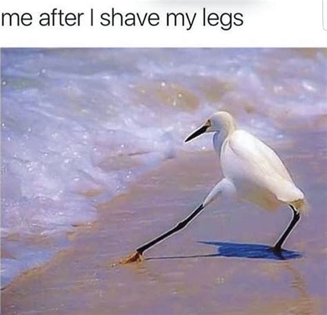 These Super Funny Memes Are For Anyone Who Has Ever Shaved A Part Of