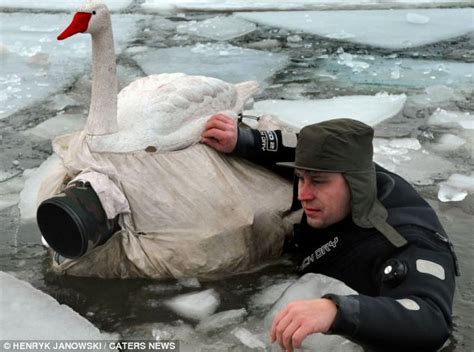 A Real Birds Eye View Photographer Hides In Fake Swan To Take Close