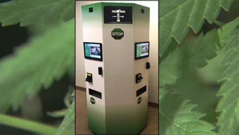 4 Companies With Auto Kiosks For Your Cannabis Dispensary