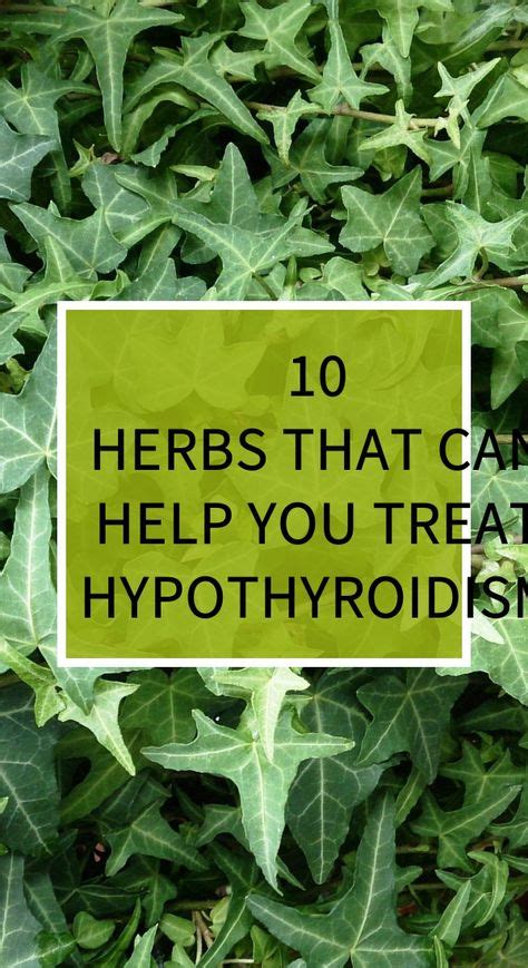 10 Herbs That Can Help You Treat Hypothyroidism Natural Cold Remedies