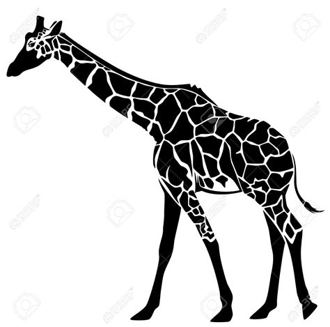 Cute Giraffe Vector Illustration Black And White