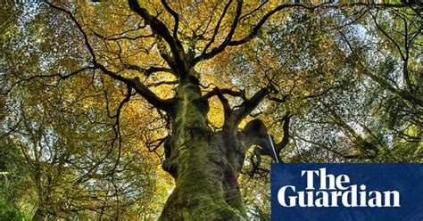 What You Value About Nature In Pictures Environment The Guardian