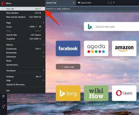 How To Open Private Window And New Tabs On Opera Computer