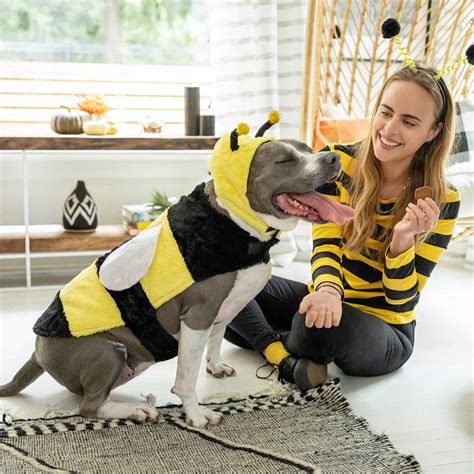 5 Diy Halloween Costumes For Dogs Cats And Their Owners