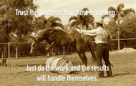 Inspirations Warwick Schiller Horse Quotes Natural Horsemanship