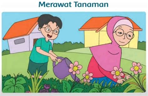 Tuliskan Tiga Aturan Merawat Tumbuhan Di Lingkungan Sekolah Homecare24