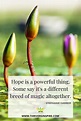 Hope Is A Powerful Thing... in 2021 | Sayings, Hope, Garber