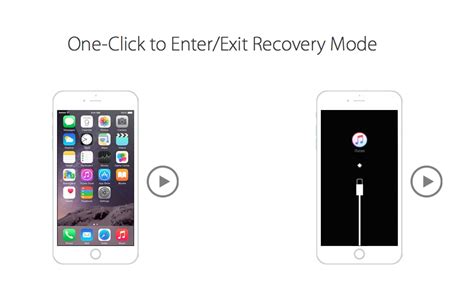 20 types of iphone files are supported: Tenorshare ReiBoot Review - A reliable iPhone recovery