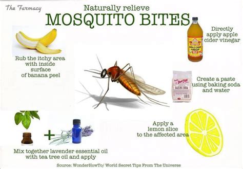 40 Ways Stop Mosquito Bite Itch