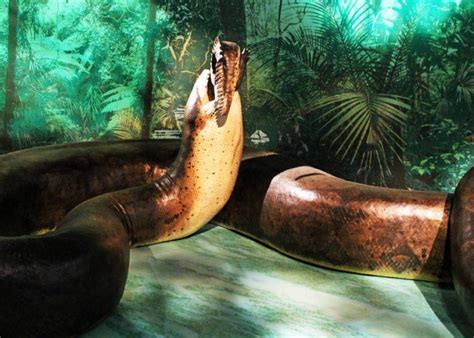 Titanoboa The Gigantic Snake That Terrorized Prehistoric Colombia