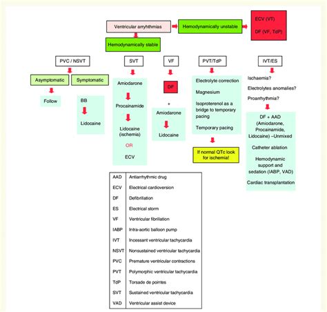 Management Of Ventricular Arrhythmias In Critically Ill And