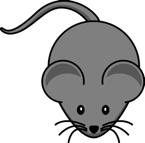 Download Mouse Nature Gray Royalty Free Vector Graphic Pixabay