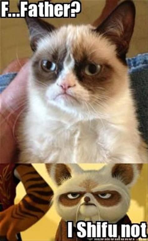 The Best Of Grumpy Cat 70 Pics Funny Grumpy Cat Memes Grumpy Cat