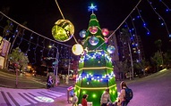 台南耶誕3「亮」點！12月起大型聖誕樹燈飾矗立古都街頭 | 旅遊 | Newtalk新聞